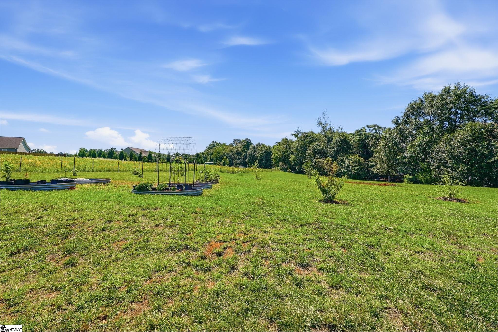 216 Burnt Tanyard Road West Union, SC 29696 - Photo 44 of 49