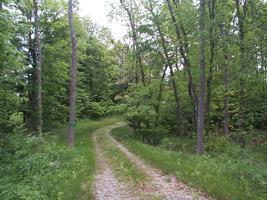 4320 Custer Road Hillsboro, OH 45133 - Photo 1 of 1