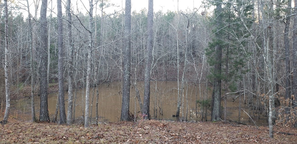 873 Skippers Lodge Road Cross Hill, SC 29332 - Photo 9 of 10 Gallery Image 9