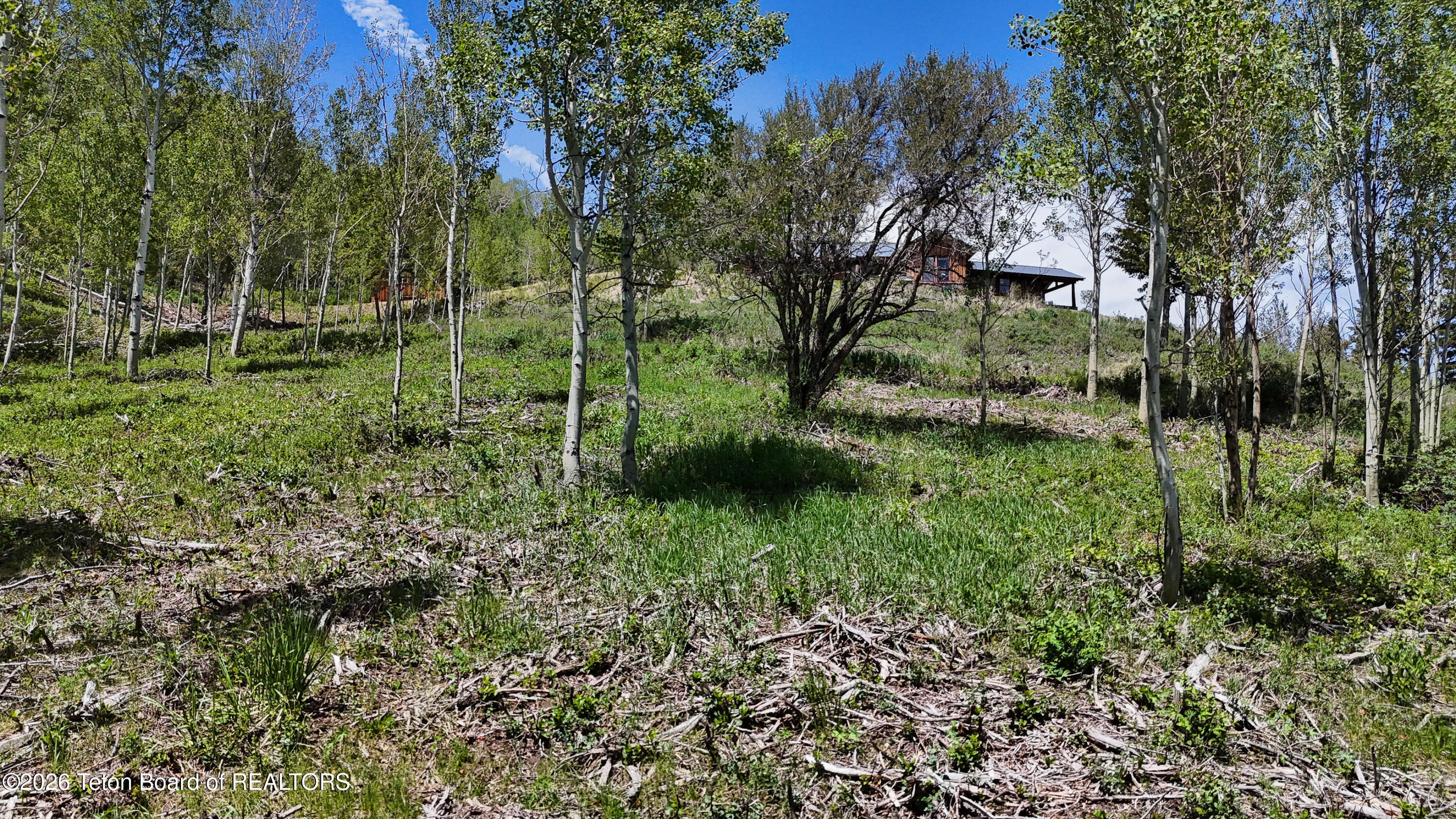 5248 South 4500 West Victor, ID 83455 - Photo 91 of 97 5248 S 4500 W_For MLS-18