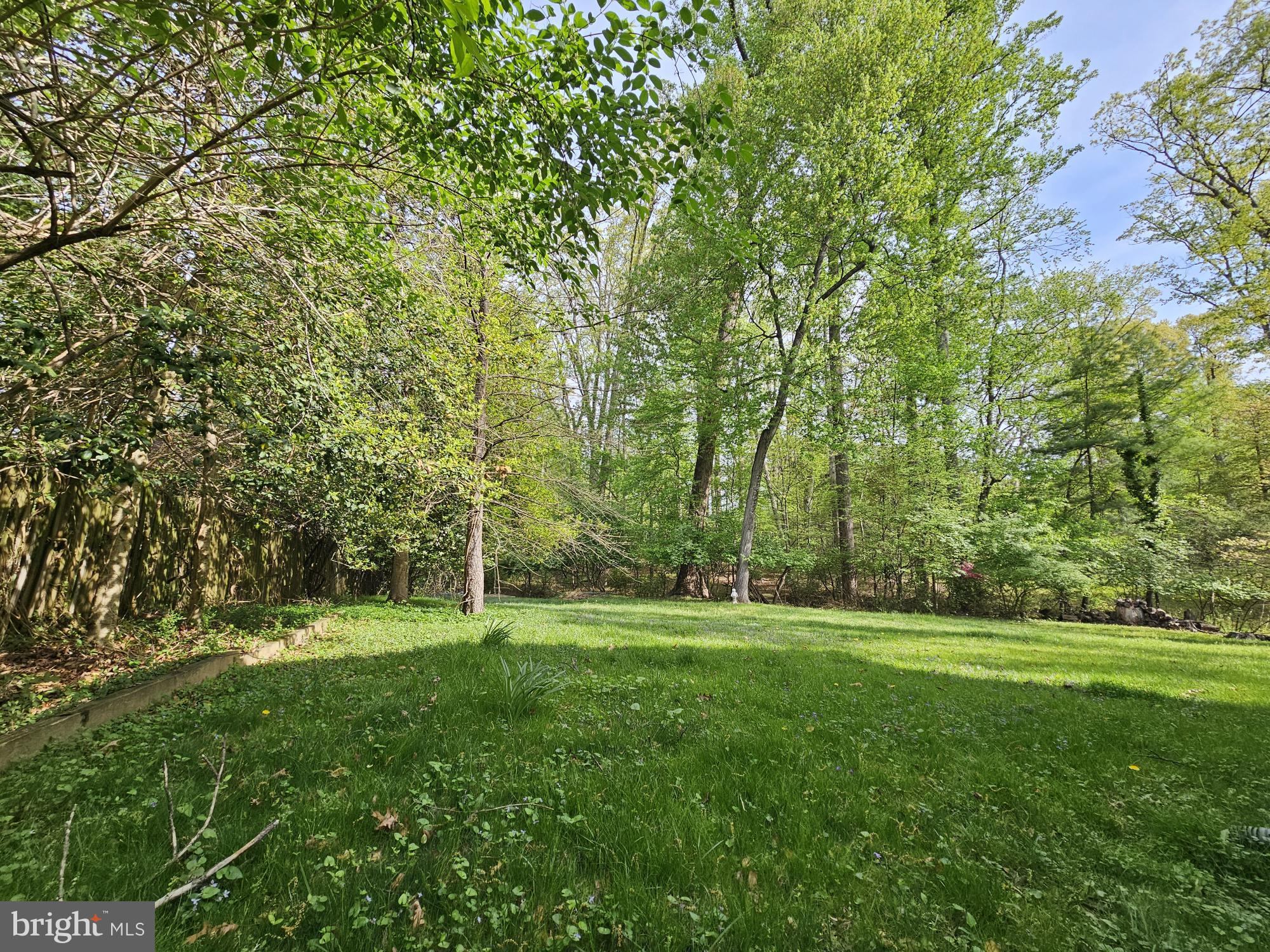 117 Kingsley Road Southwest Vienna, VA 22180 - Photo 2 of 4 Lush green oasis in serene woods.