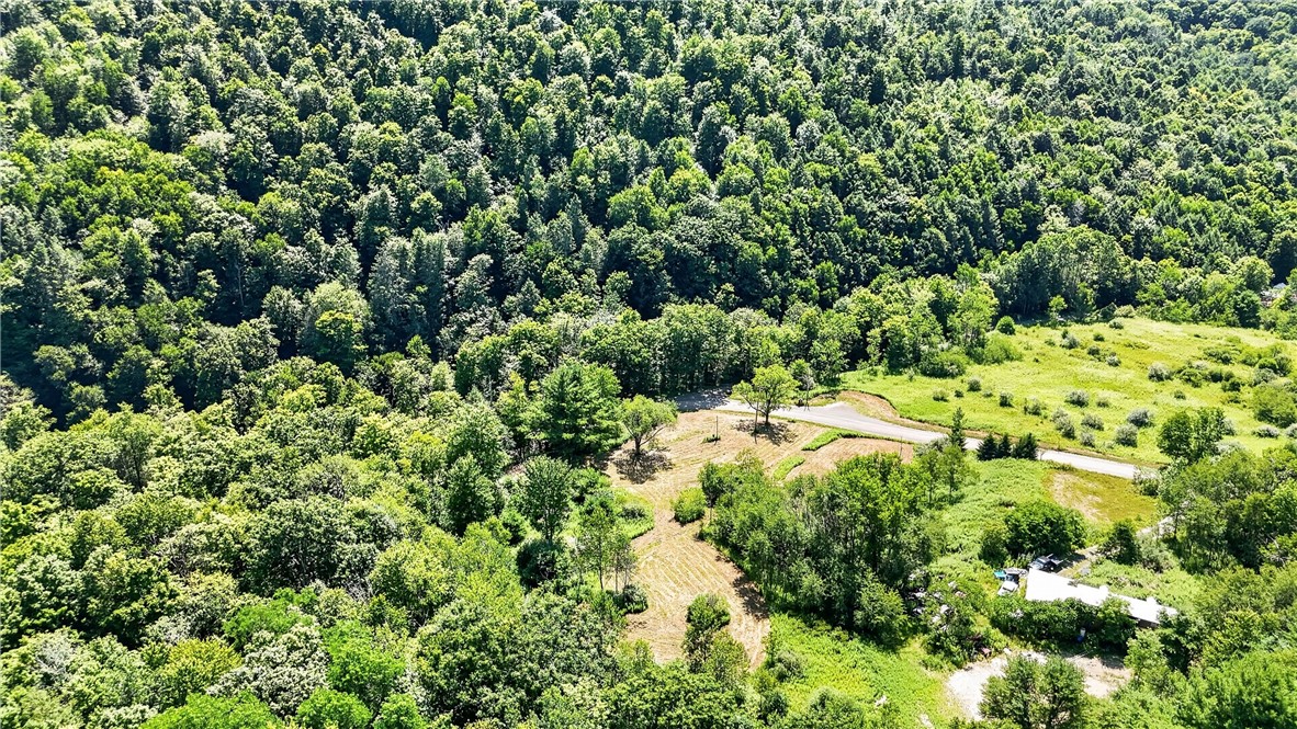 407 Reniff Road Baldwin, NY 14859 - Photo 9 of 13 Gallery Image 9