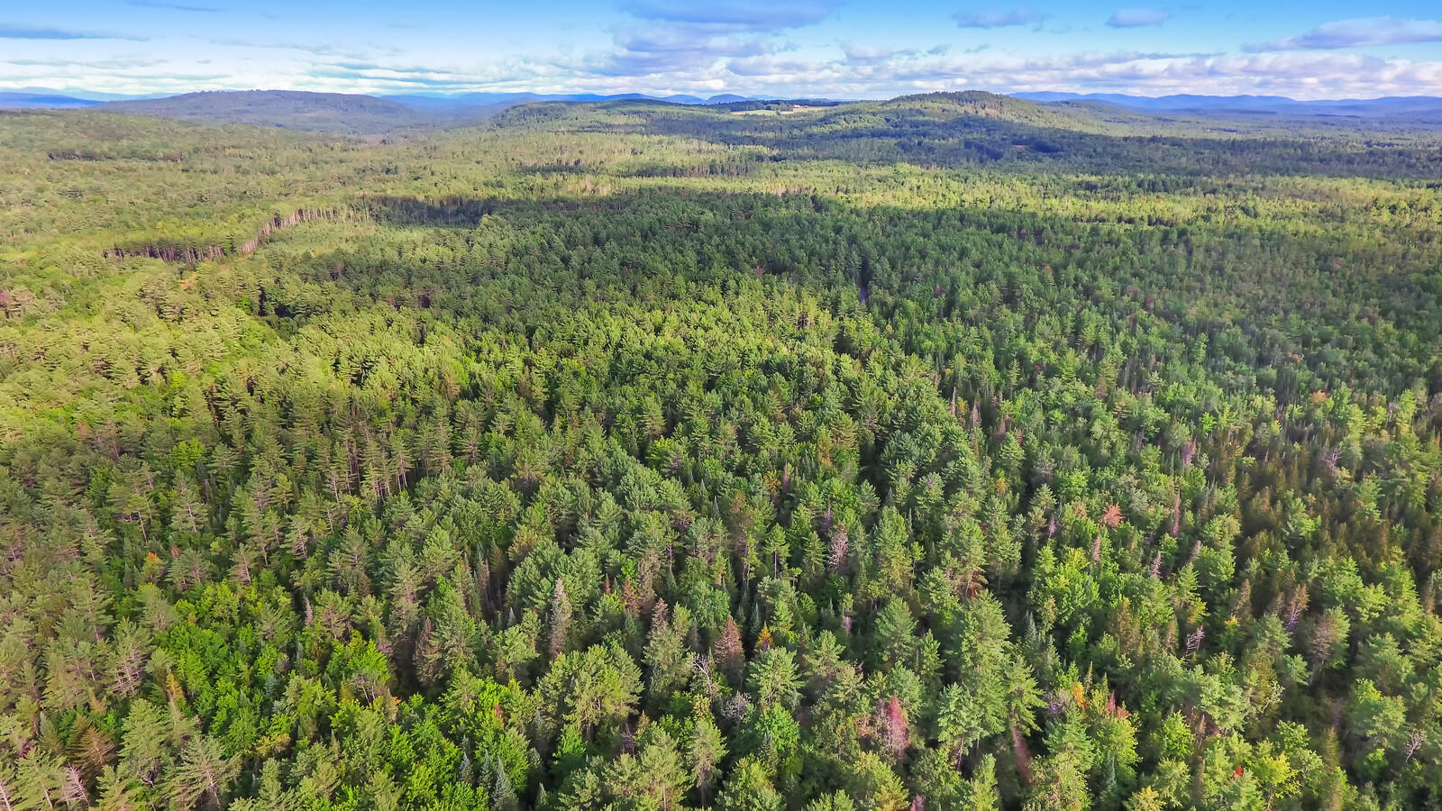 167 Harrison Road Oxford, ME 04270 - Photo 37 of 40 10_DJI_0010_copy_mls