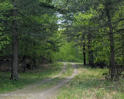 $98,000 | 80 Old Stonewall Road, Hannacroix, NY 12087
