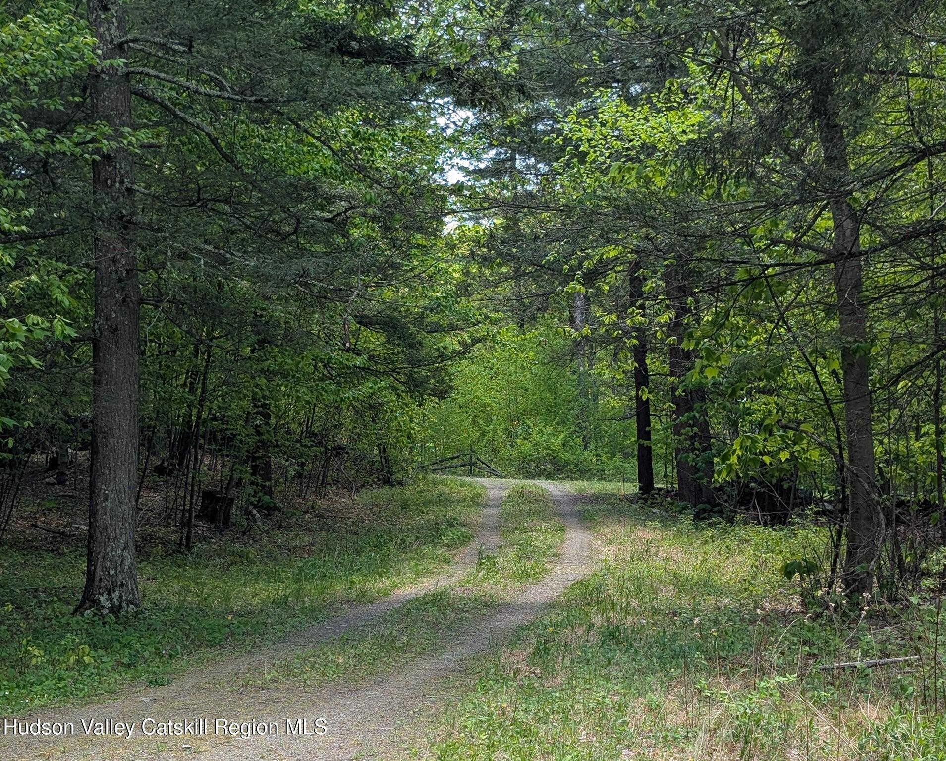 80 Old Stonewall Road Hannacroix, NY 12087 - Photo 5 of 6 Copy of 5 driveway cropped