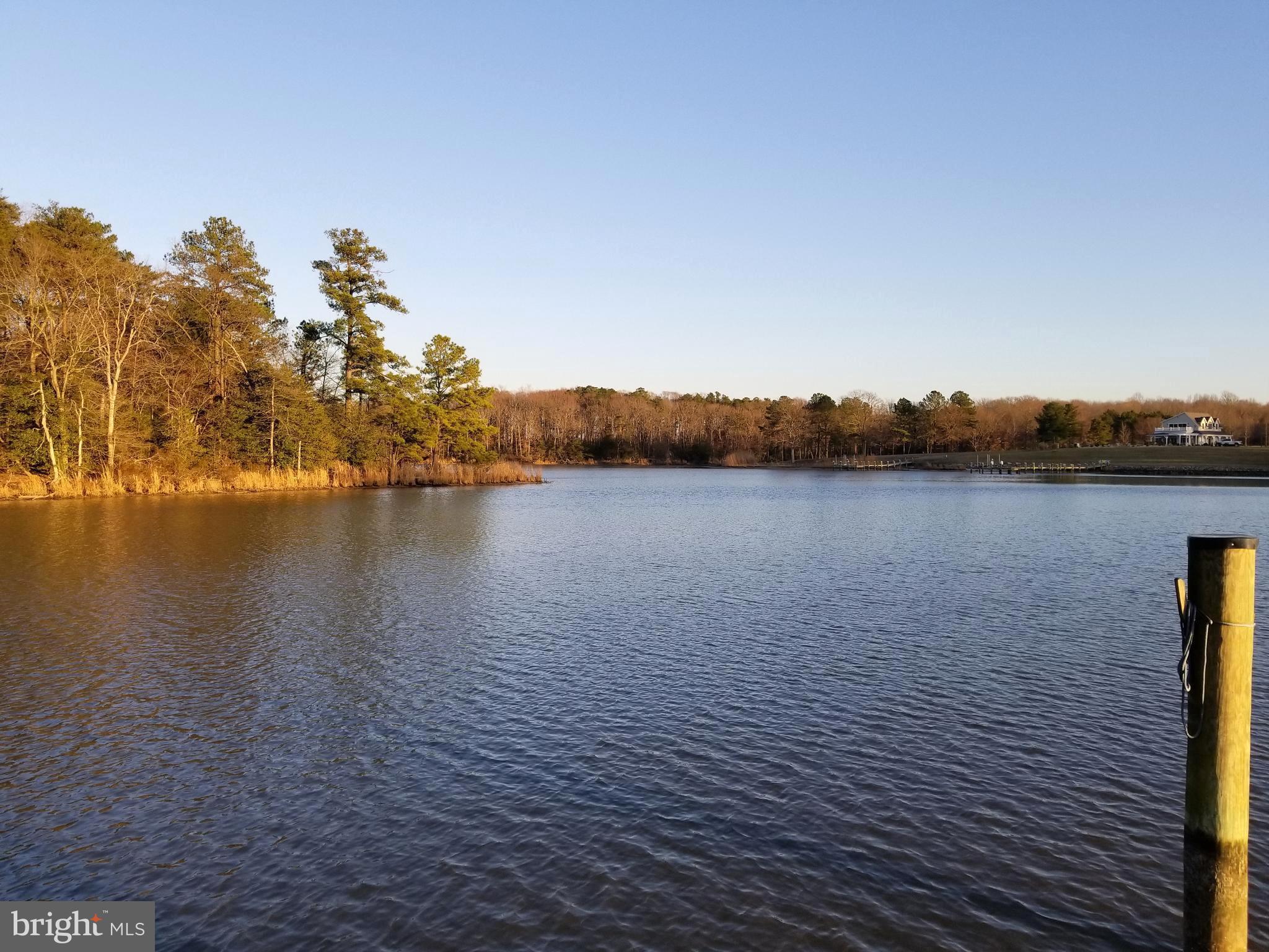 6311 Suicide Bridge Road Hurlock, MD 21643 - Photo 19 of 30 Up Creek From Pier