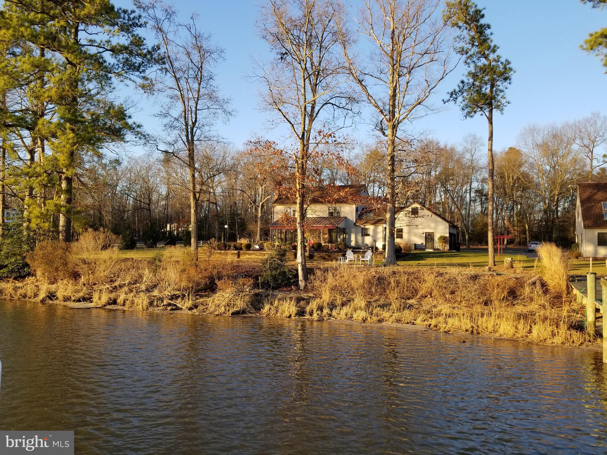 6311 Suicide Bridge Road Hurlock, MD 21643 - Photo 23 of 30 Native Grass Shoreline Protection