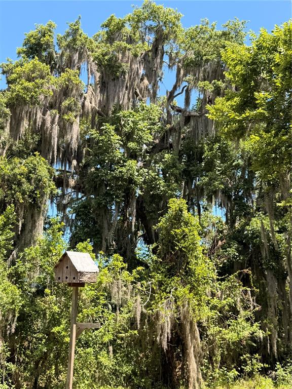 697 Eagle Watch Road Oak Hill, FL 32759 - Photo 14 of 16