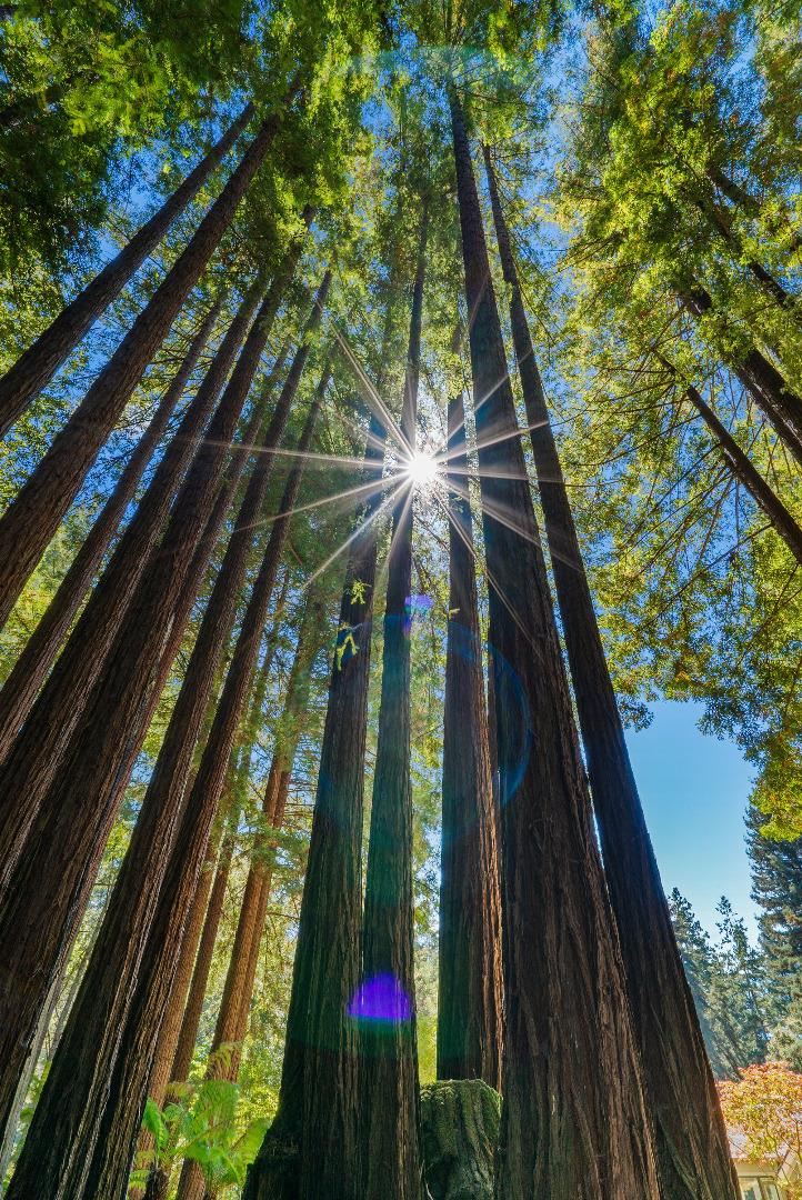 1695 Aptos Creek Road Aptos, CA 95003 - Photo 67 of 76