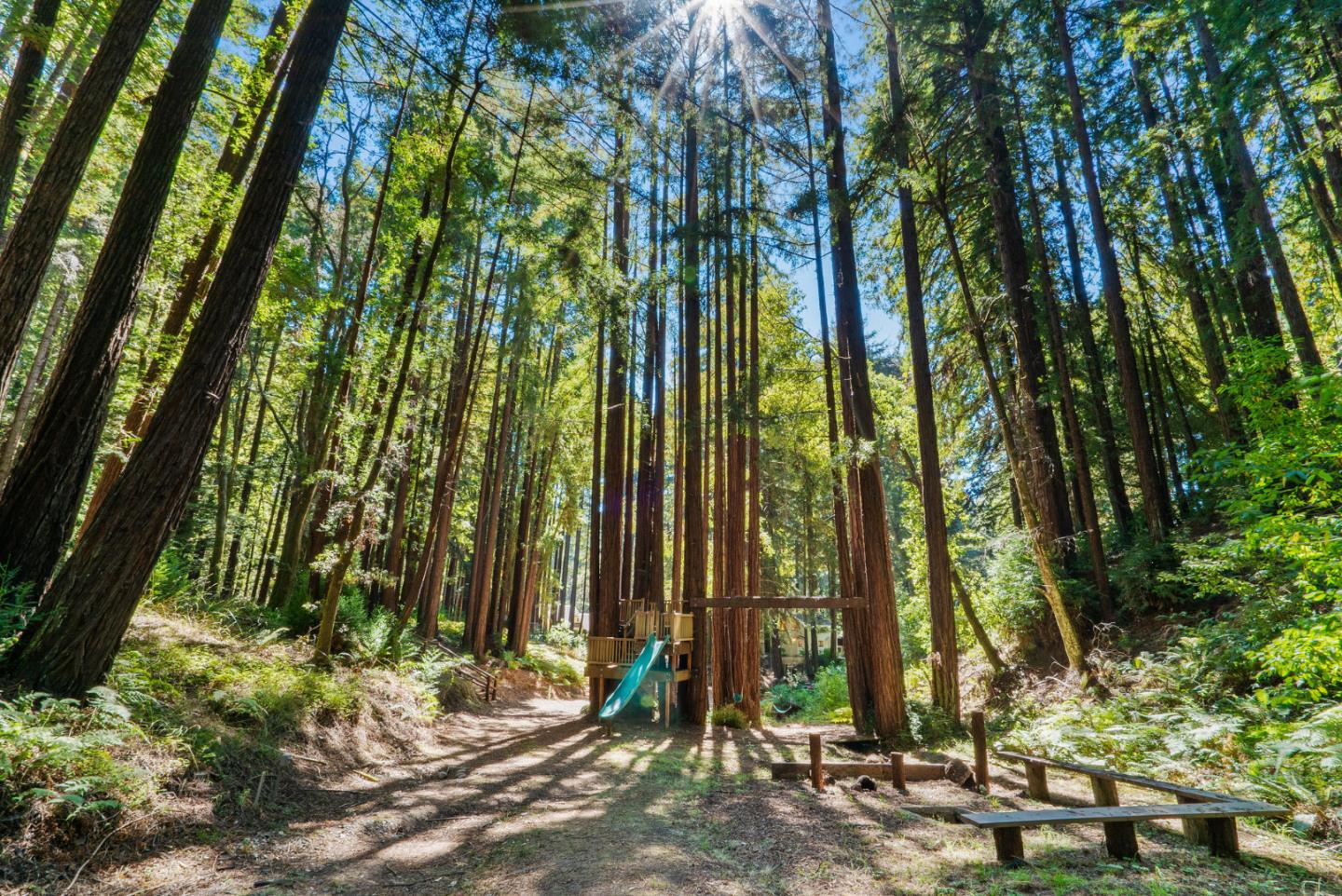 1695 Aptos Creek Road Aptos, CA 95003 - Photo 68 of 76 a view of tall trees