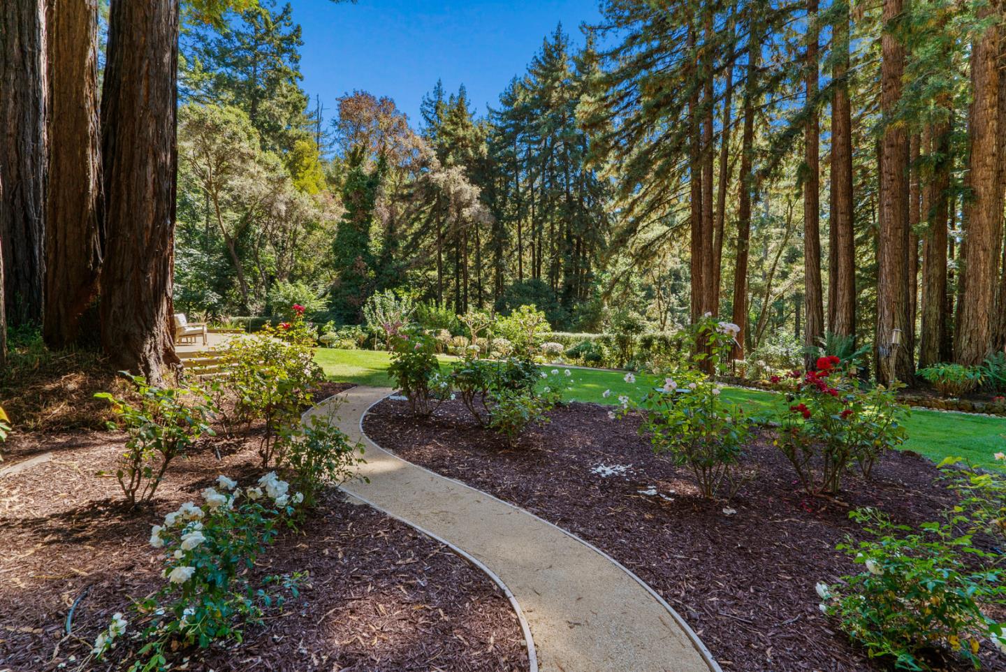 1695 Aptos Creek Road Aptos, CA 95003 - Photo 71 of 76 a view of a garden with large trees