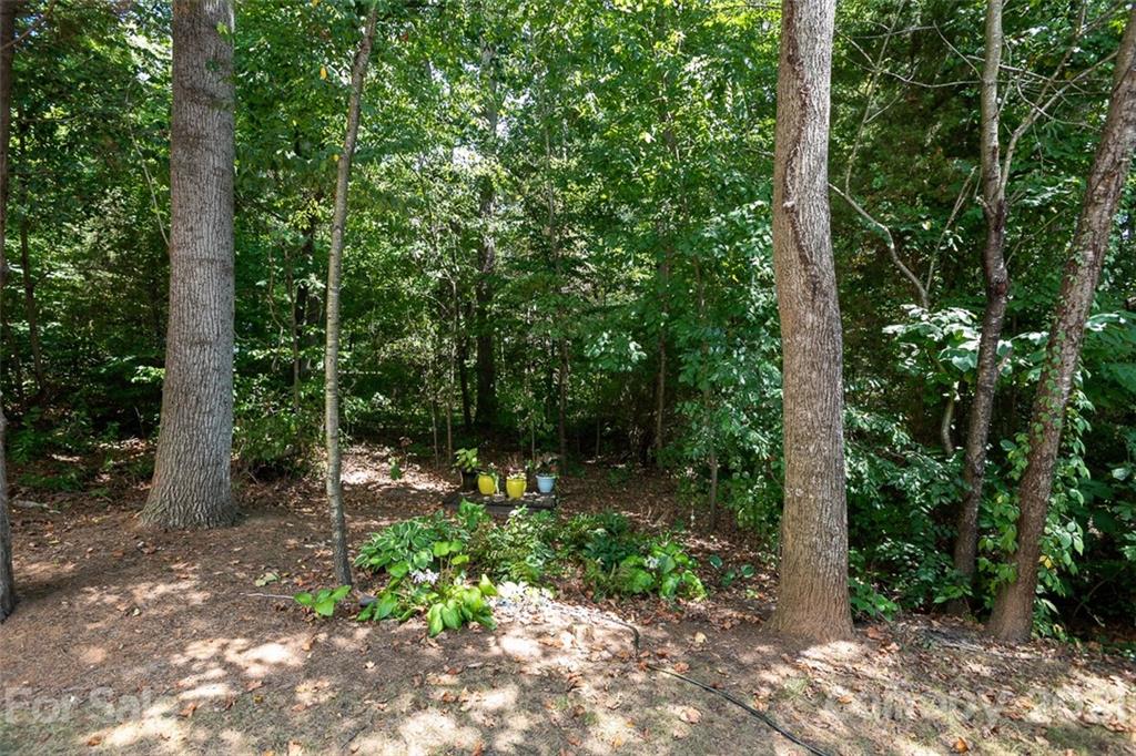 131 High Ridge Road Mooresville, NC 28117 - Photo 35 of 40 a view of a forest with trees