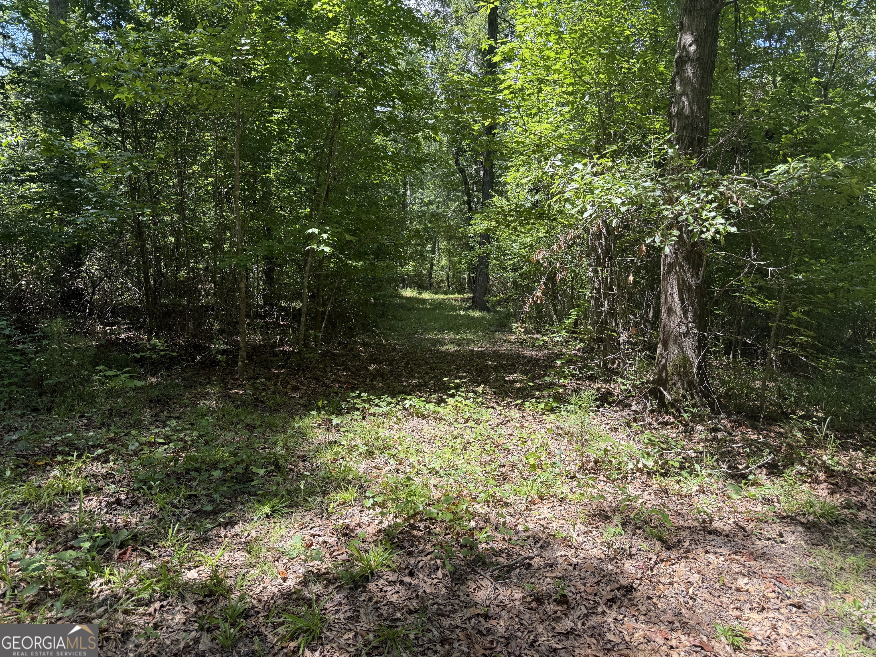 86.92 H B Dixon Road Sparta, GA 31087 - Photo 19 of 64 Gallery Image 19