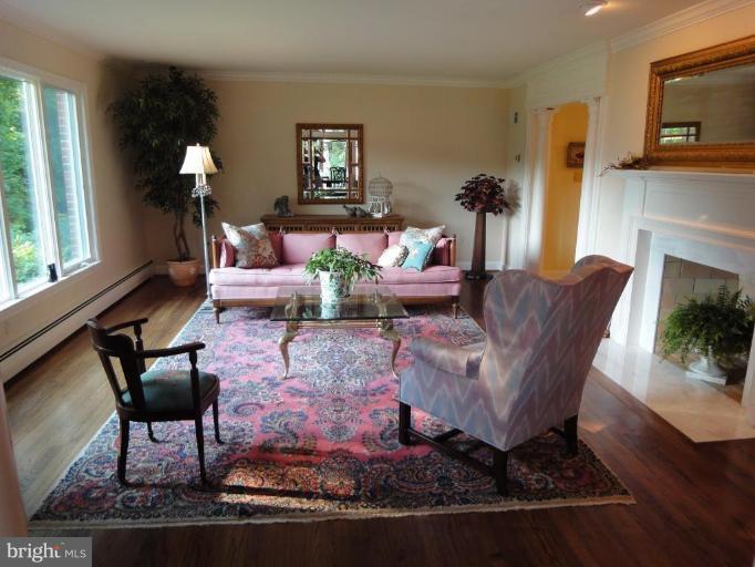 15306 Merrifields Court Silver Spring, MD 20906 - Photo 4 of 26 Living Room #2