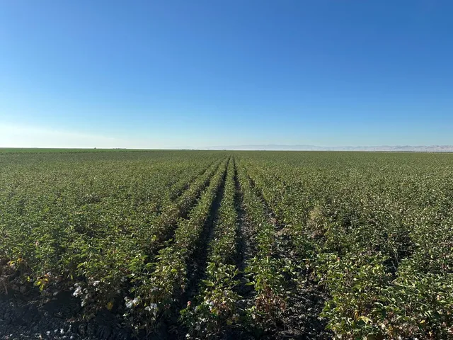 $5,581,800 | 0 Fairfax Avenue, Firebaugh, CA 93622