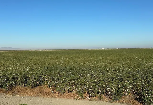 $5,581,800 | 0 Fairfax Avenue, Firebaugh, CA 93622