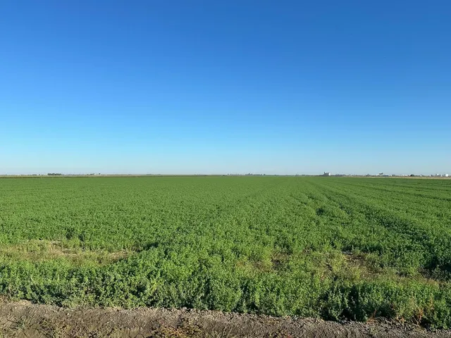 $5,581,800 | 0 Fairfax Avenue, Firebaugh, CA 93622