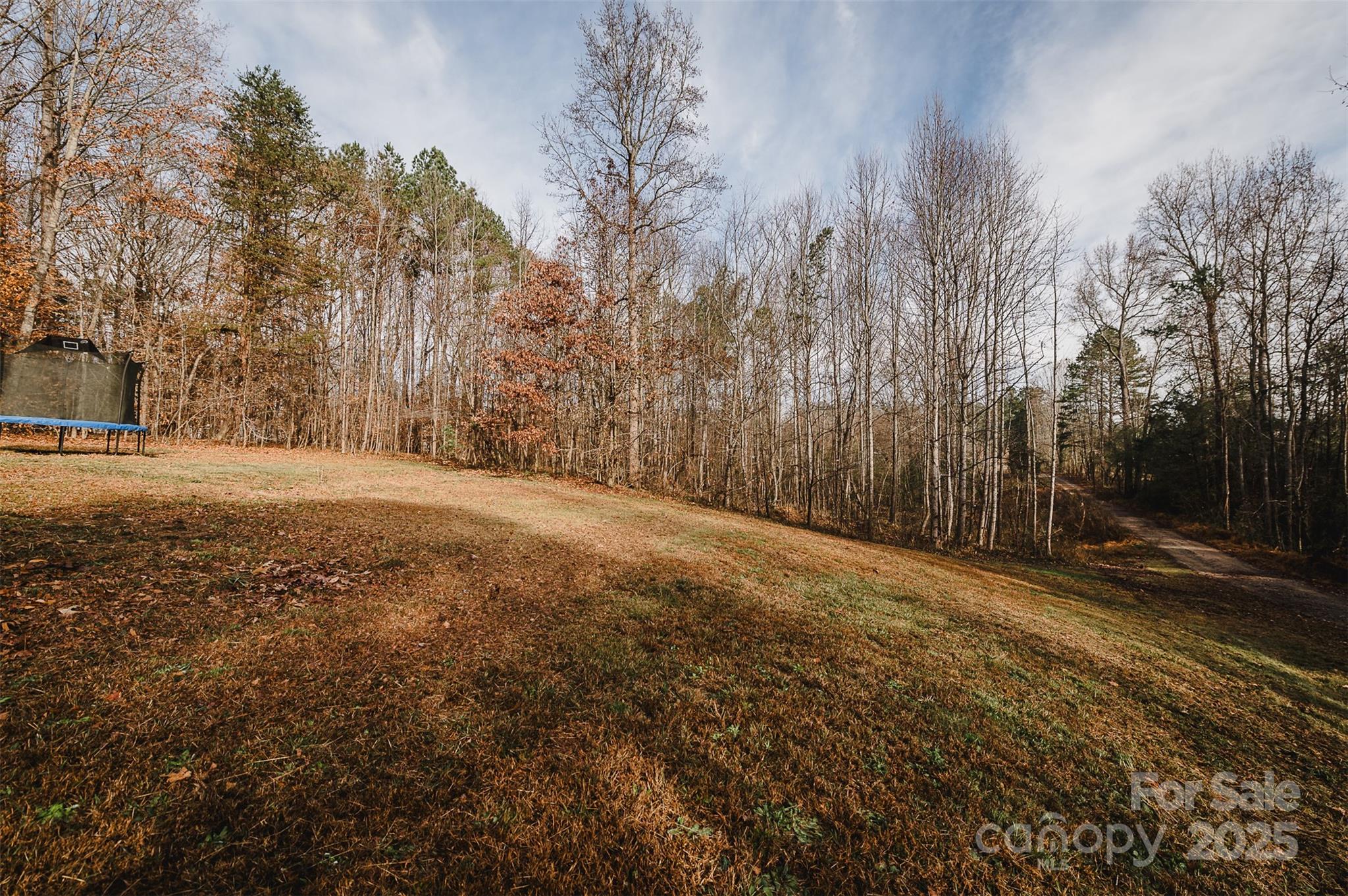 8226 Malibu Road Mount Pleasant, NC 28124 - Photo 38 of 44 a view of dirt yard with a large tree
