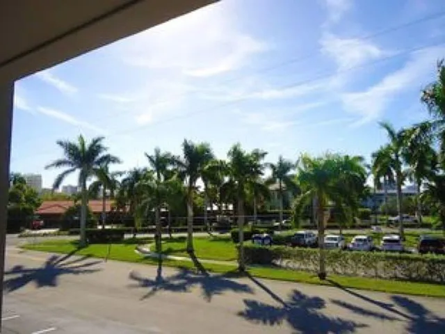 a view of park with large trees
