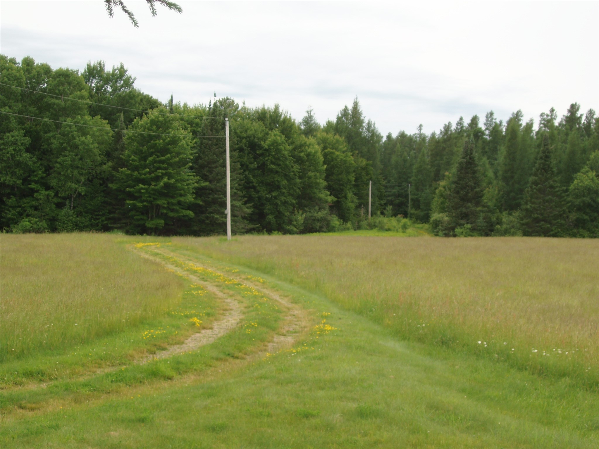N16798 Bass Lake Road Butternut, WI 54514 - Photo 33 of 52