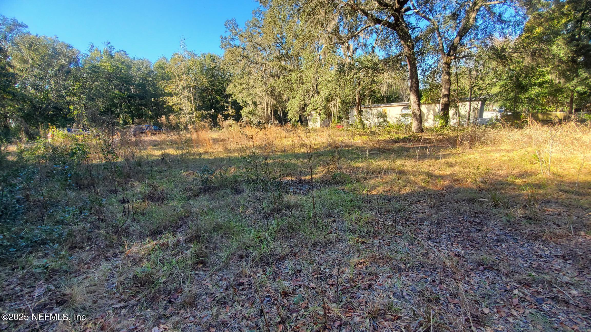 602 Shappell Avenue Interlachen, FL 32148 - Photo 3 of 9 602 Shappell Ave