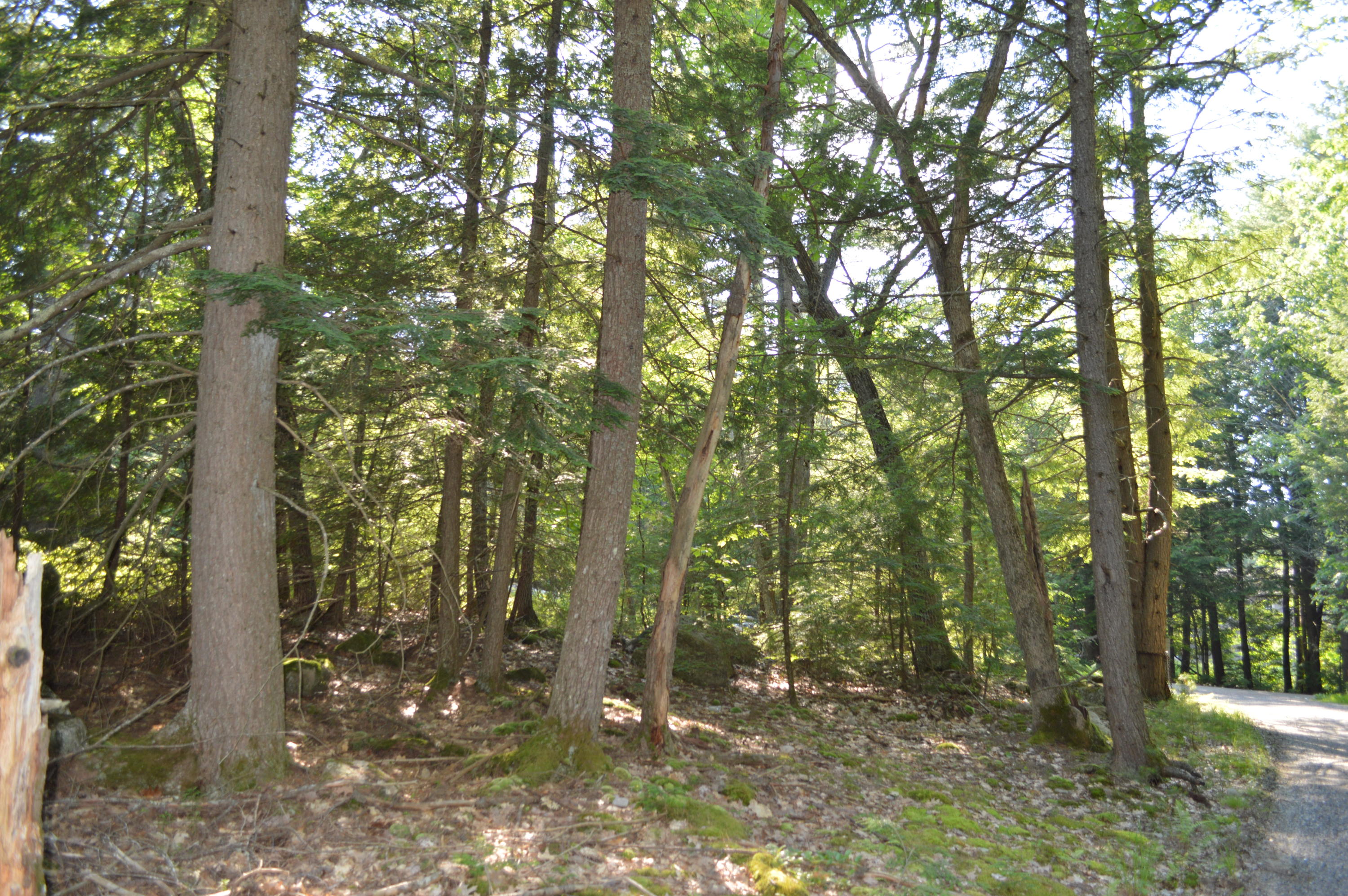 0 Environmental Windham, ME 04062 - Photo 4 of 19 DSC_0442
