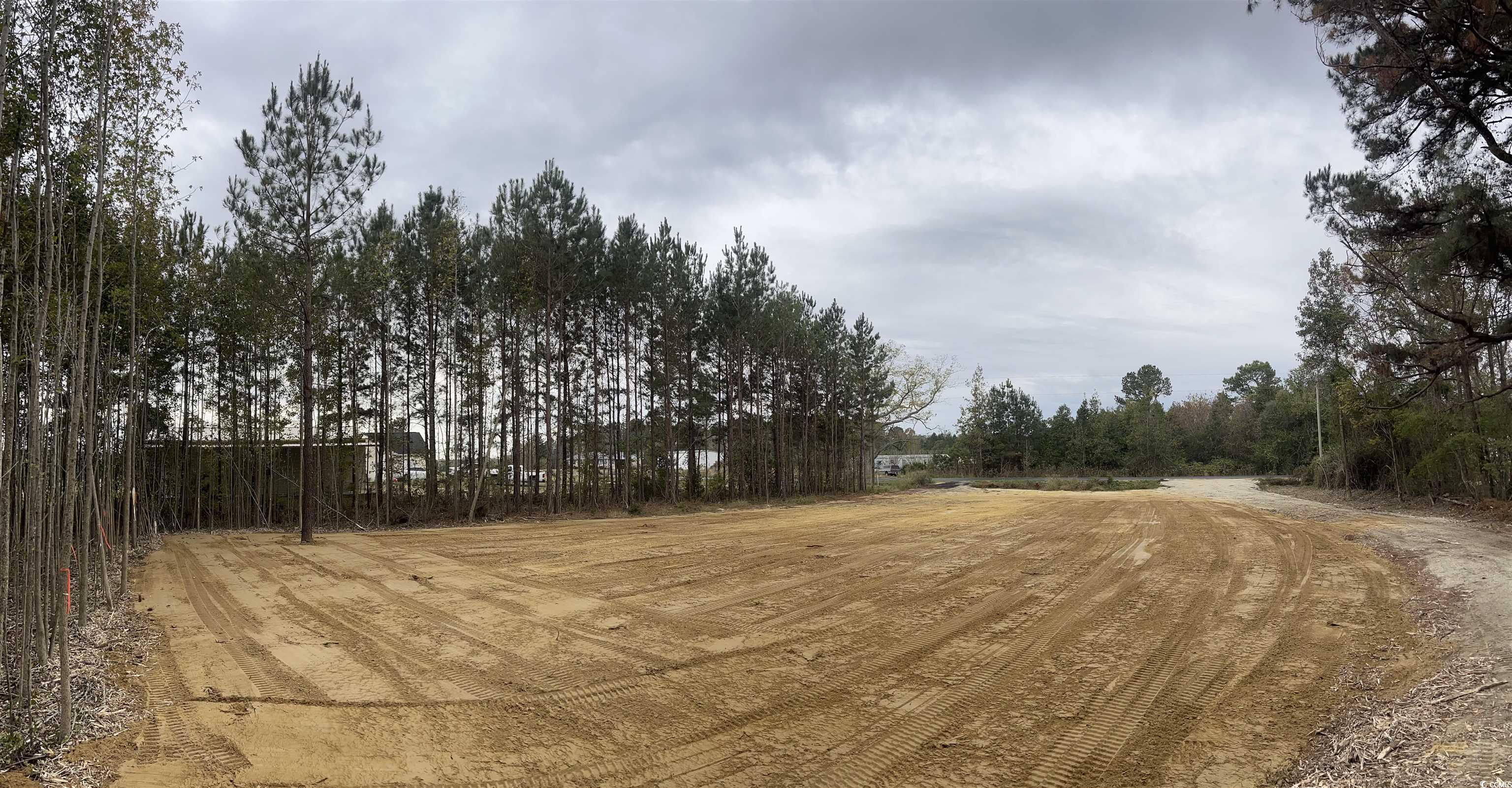 Lot 6 Red Bluff Road Loris, SC 29569 - Photo 3 of 5 Gallery Image 3