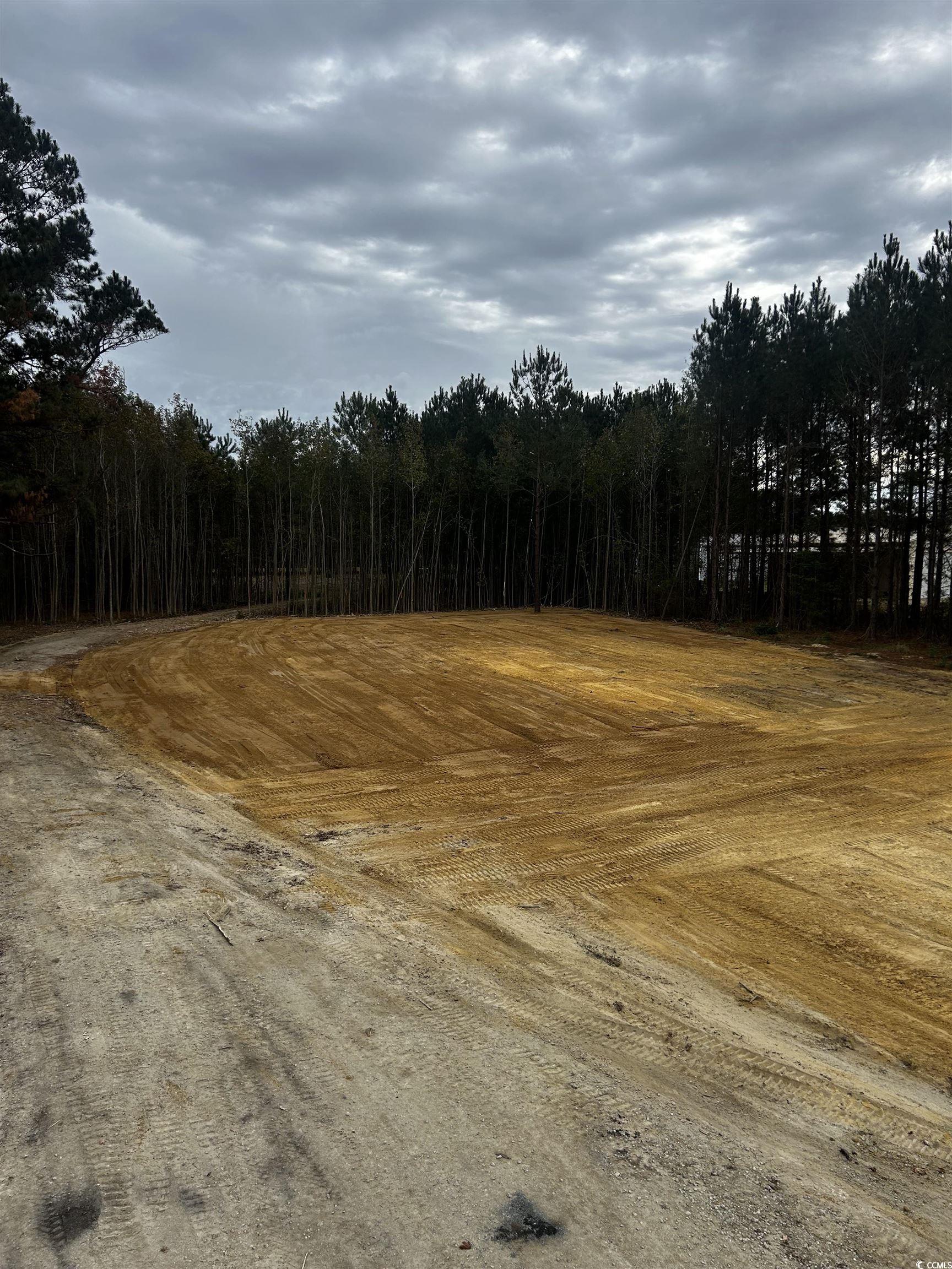 Lot 6 Red Bluff Road Loris, SC 29569 - Photo 5 of 5 Gallery Image 5