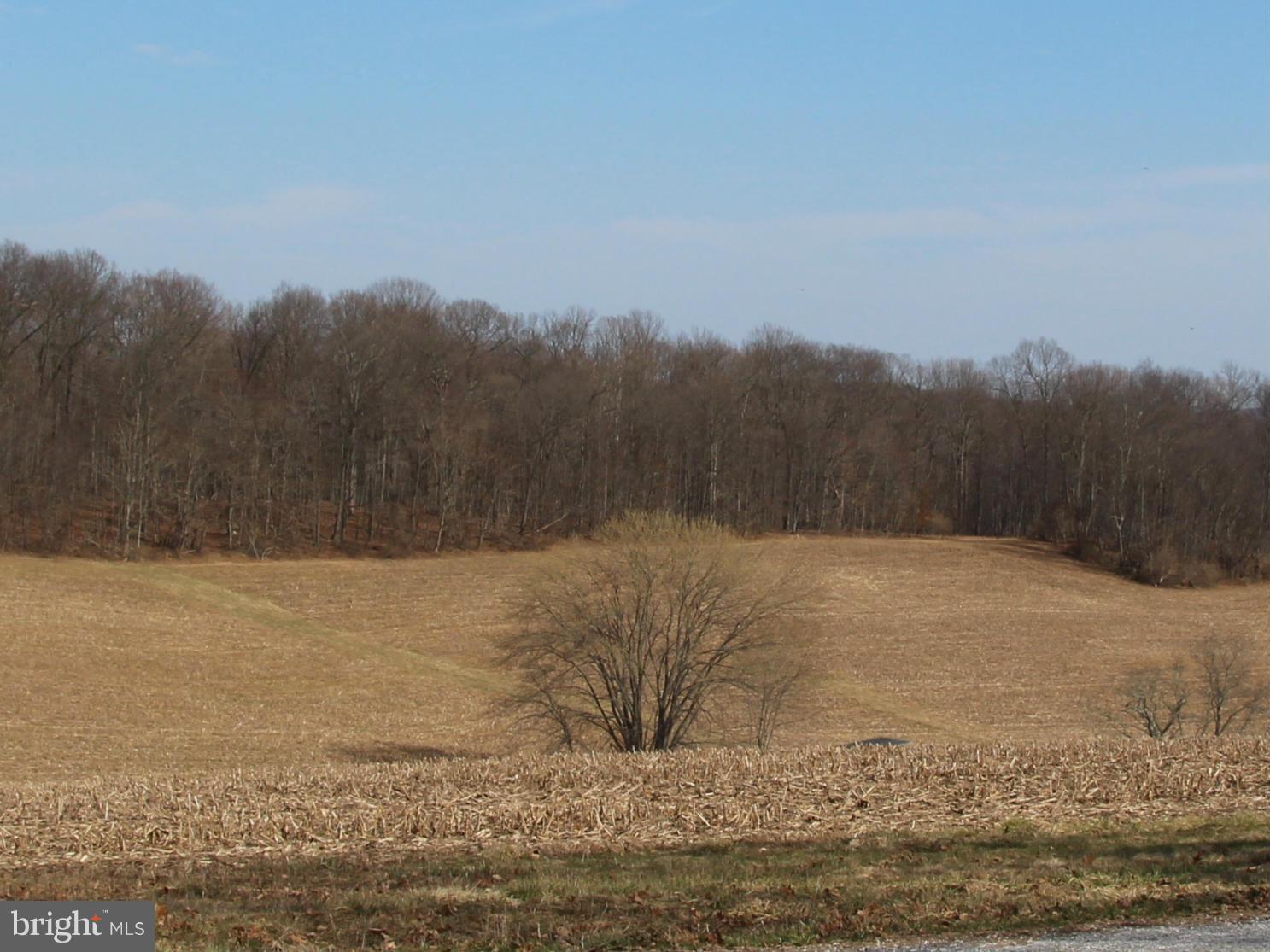 19504 Resh Mill Road Hampstead, MD 21074 - Photo 8 of 9 View