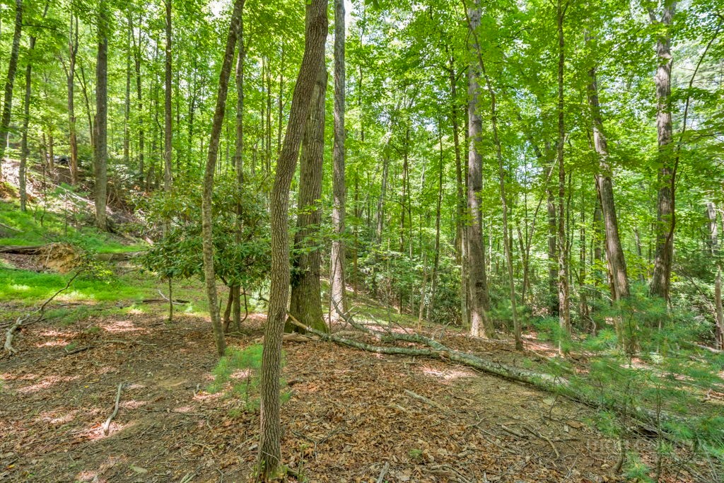 11-14 Powder Horn Mountain Road Deep Gap, NC 28618 - Photo 16 of 38