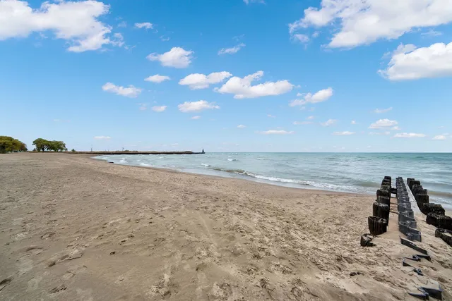 $3,000 | 1121 West Columbia Avenue, Unit 2F, Chicago, IL 60626