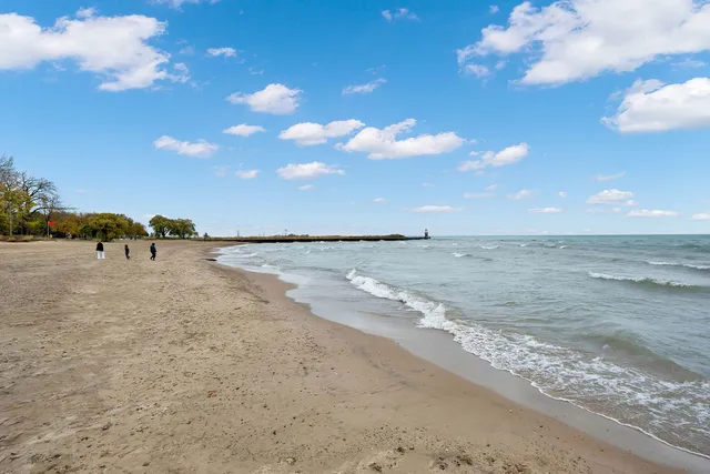 $3,000 | 1121 West Columbia Avenue, Unit 2F, Chicago, IL 60626