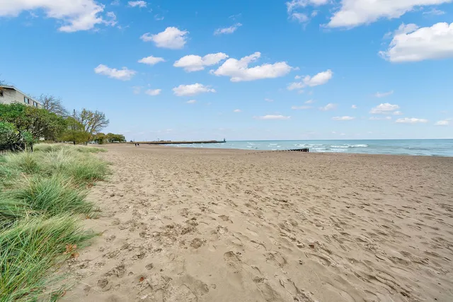 $3,000 | 1121 West Columbia Avenue, Unit 2F, Chicago, IL 60626