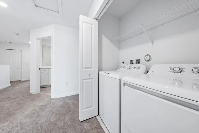 a view of a garden with a lake