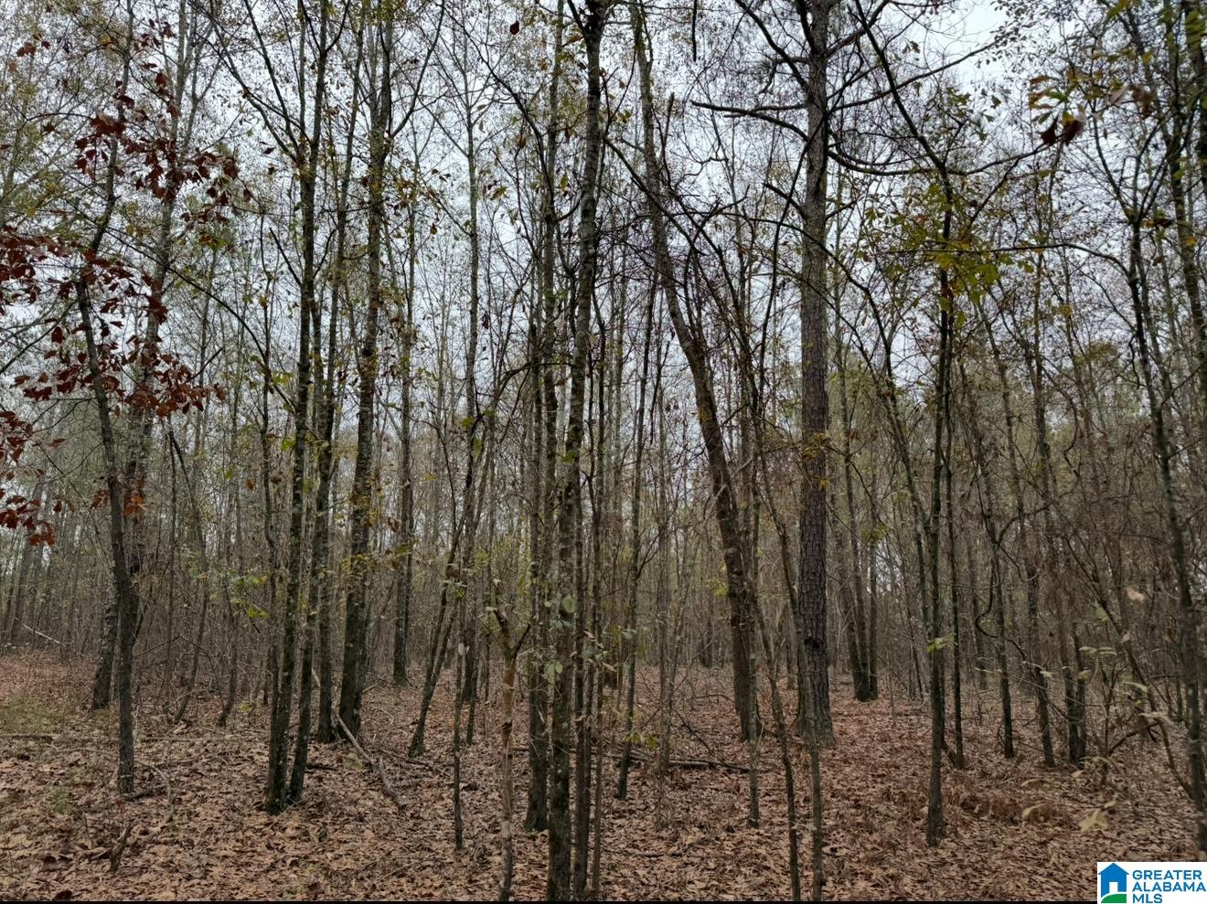 32 North County Road, Unit 1 Deatsville, AL 36022 - Photo 6 of 10