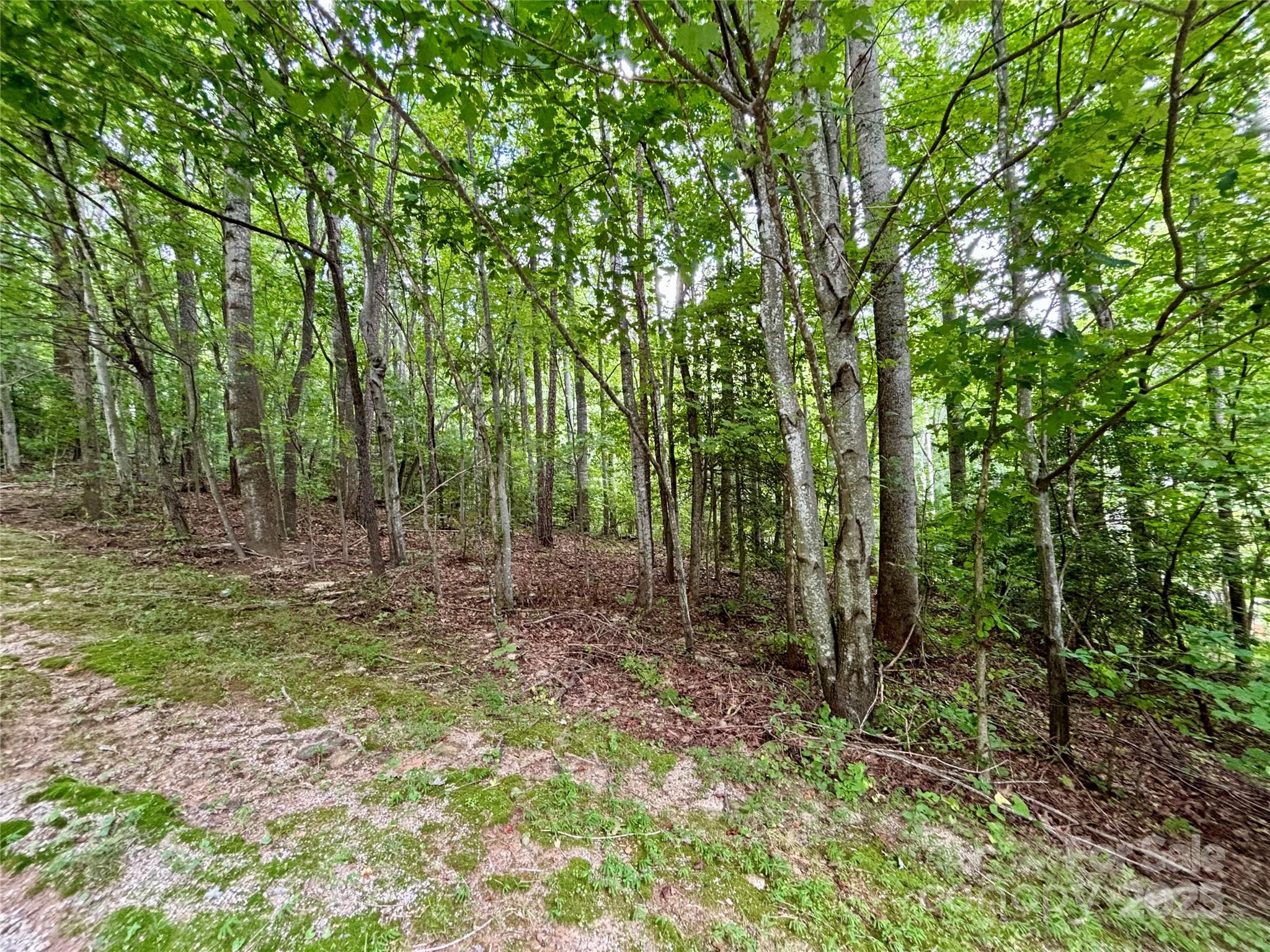 0 North Sunlight Ridge Court Hendersonville, NC 28792 - Photo 3 of 4 a view of outdoor space and green space