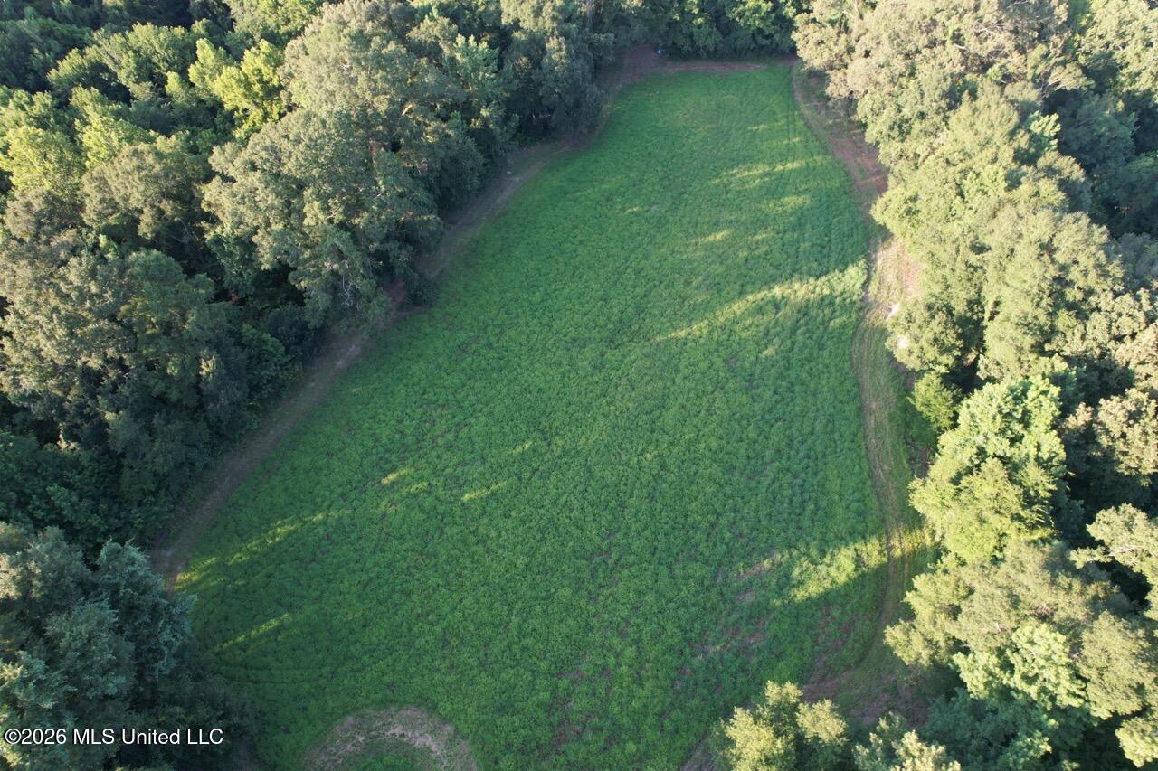 Woodlawn Road Woodville, MS 39669 - Photo 22 of 47 DJI_0362 Large