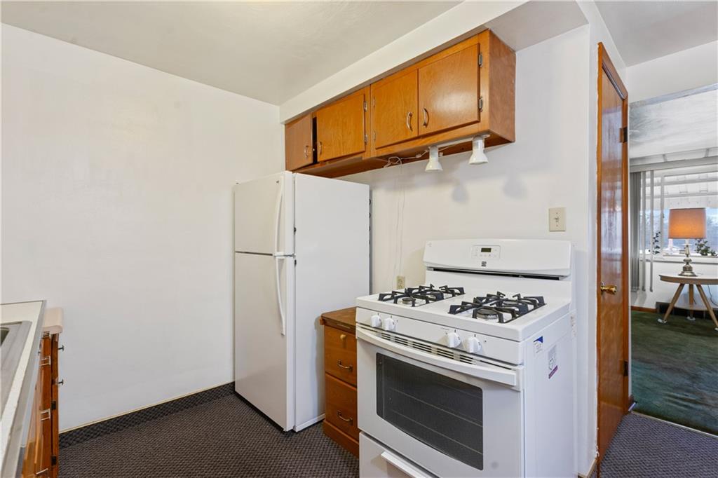 515 Ridge Avenue Carnegie, PA 15106 - Photo 6 of 31 Gallery Image 6