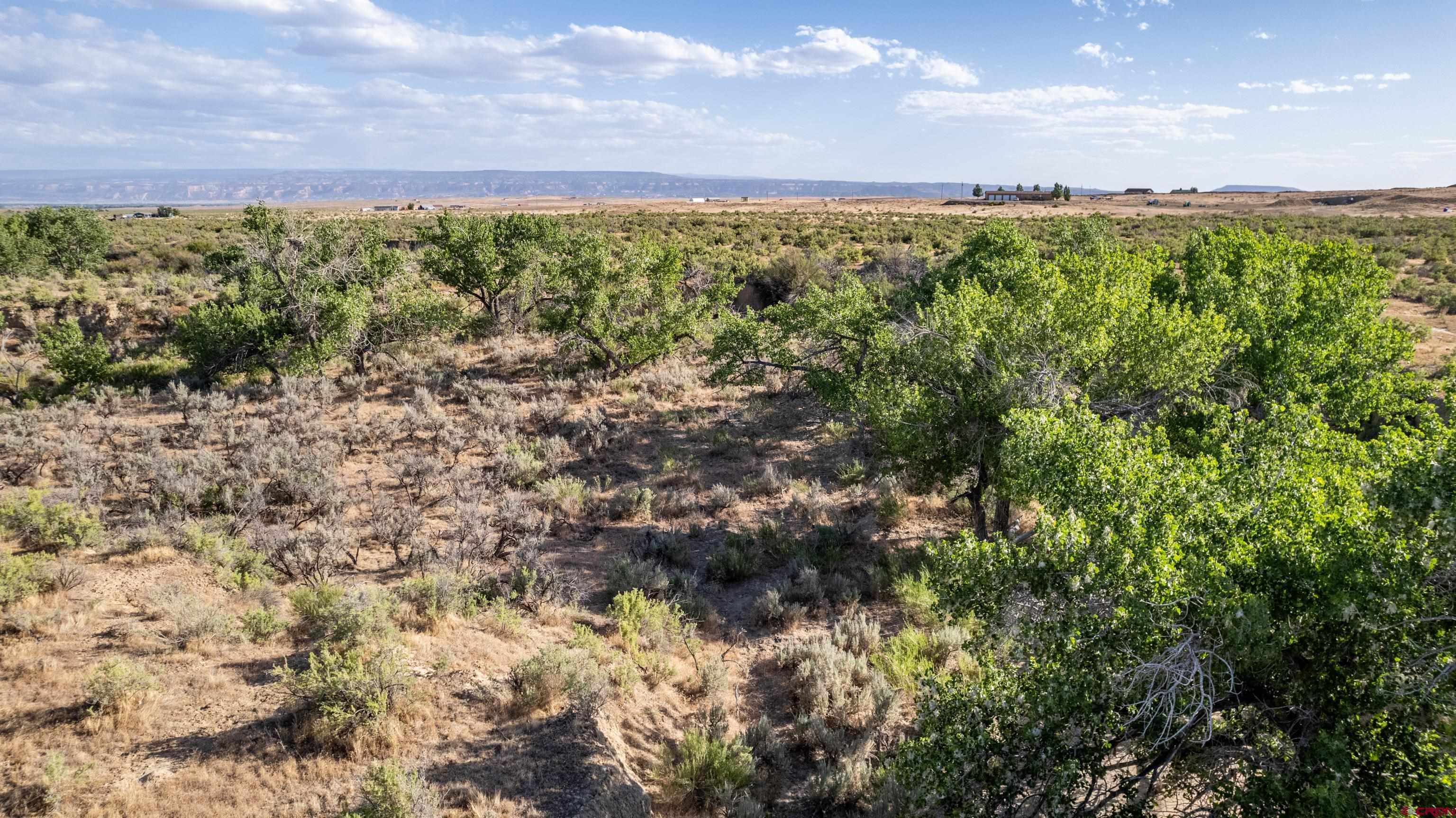 Lot 3 16 Road Loma, CO 81524 - Photo 14 of 35 a view of a bunch of trees and bushes