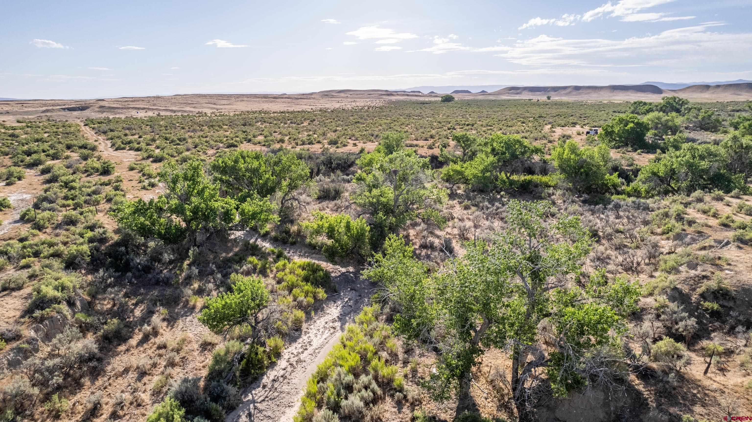 Lot 3 16 Road Loma, CO 81524 - Photo 15 of 35 a view of a city with lush green forest