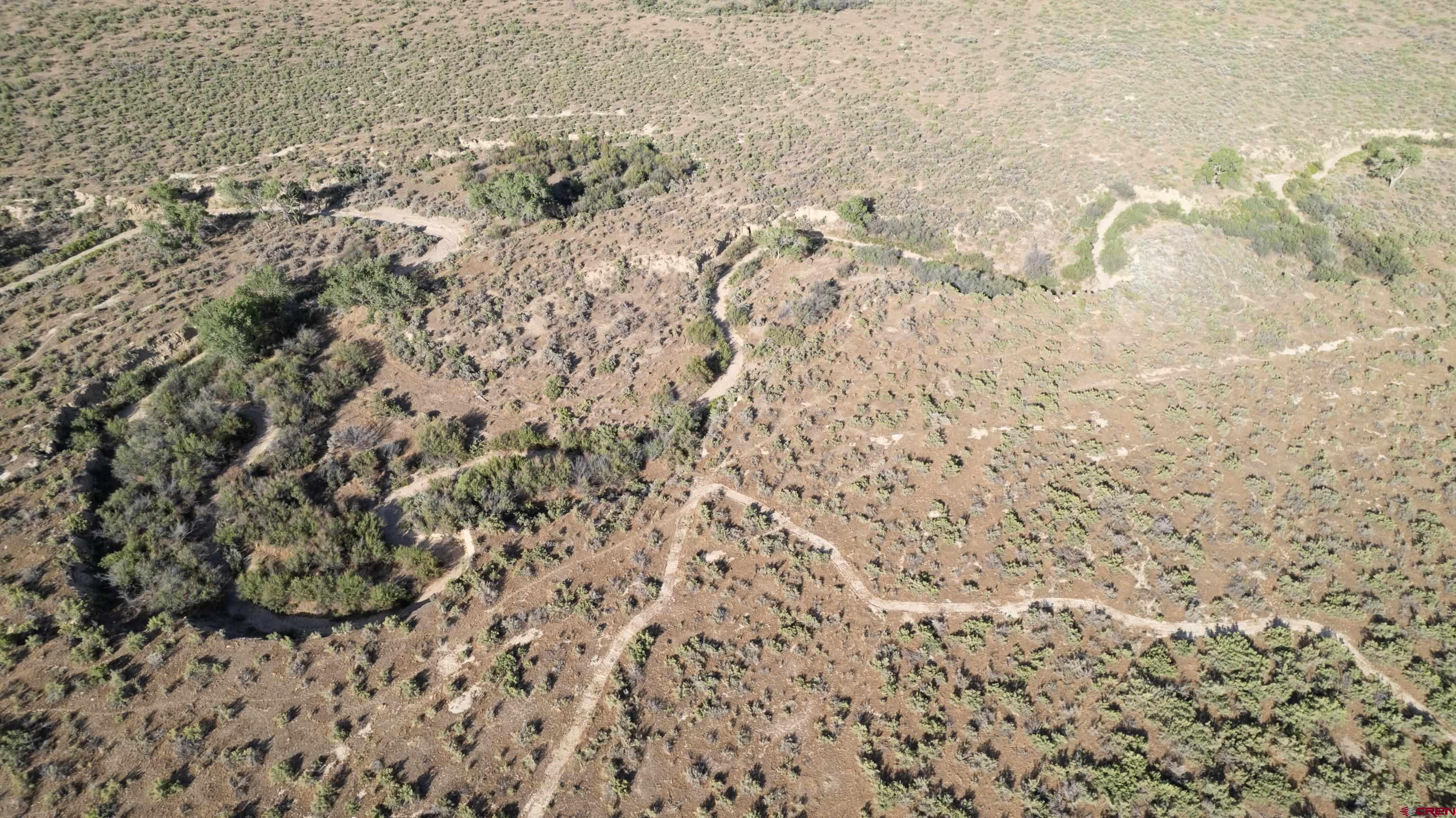 Lot 3 16 Road Loma, CO 81524 - Photo 17 of 35 a view of a covered with large trees