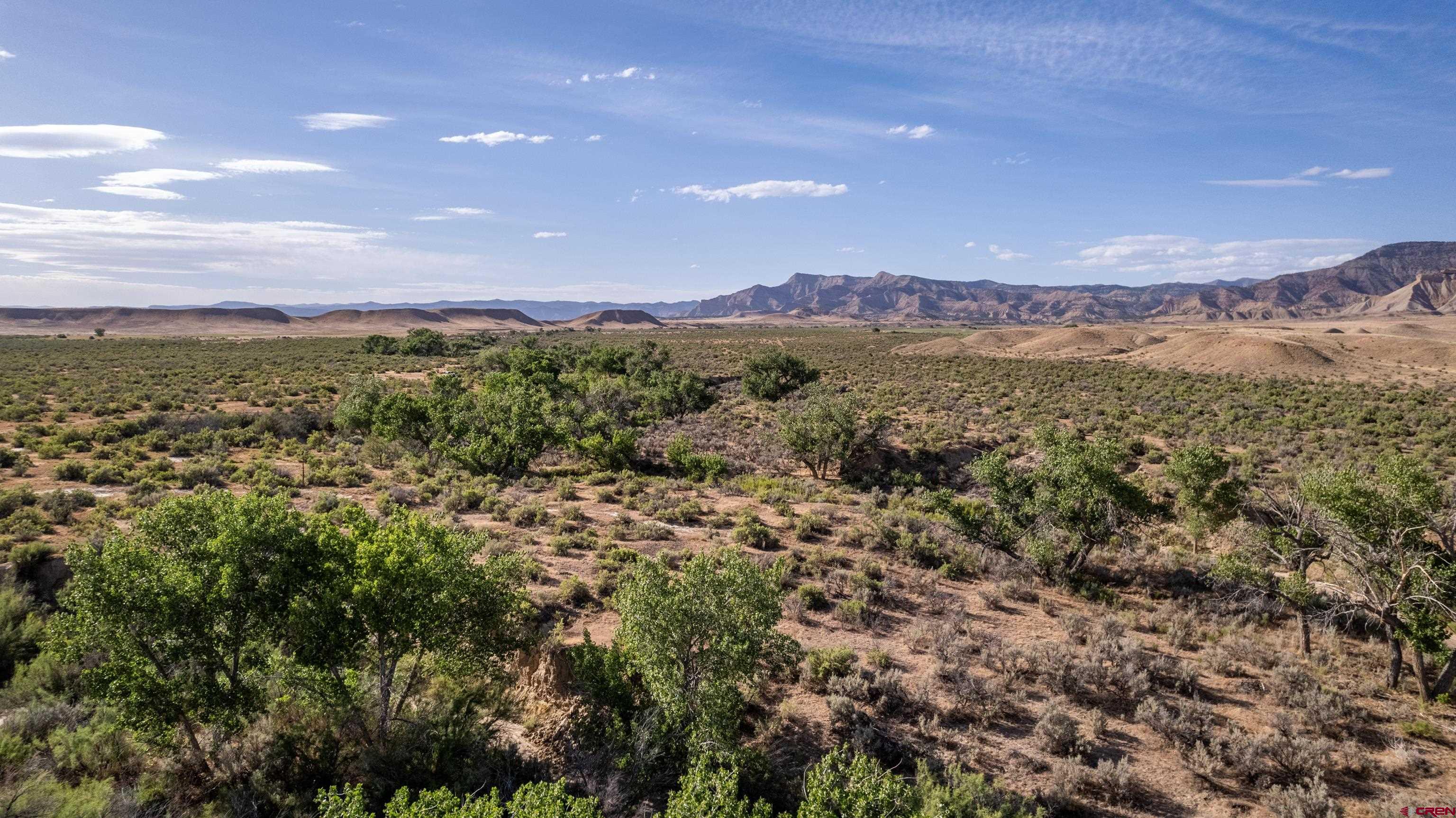 Lot 3 16 Road Loma, CO 81524 - Photo 21 of 35 a view of a city with lush green forest