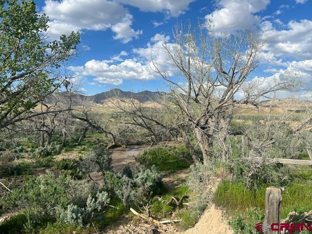 Lot 3 16 Road Loma, CO 81524 - Photo 22 of 35 a view of a houses with a yard