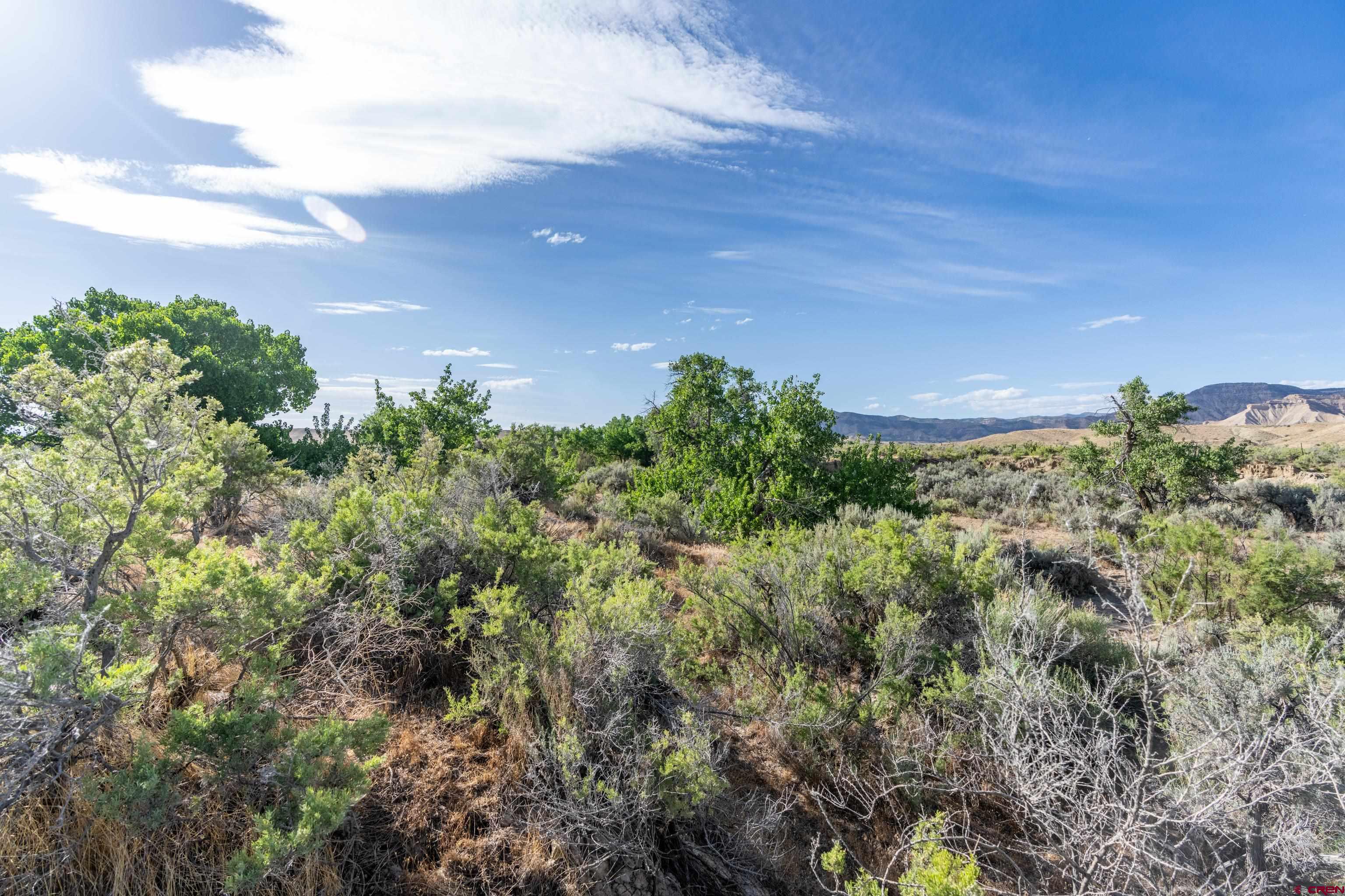 Lot 3 16 Road Loma, CO 81524 - Photo 25 of 35 a view of a garden