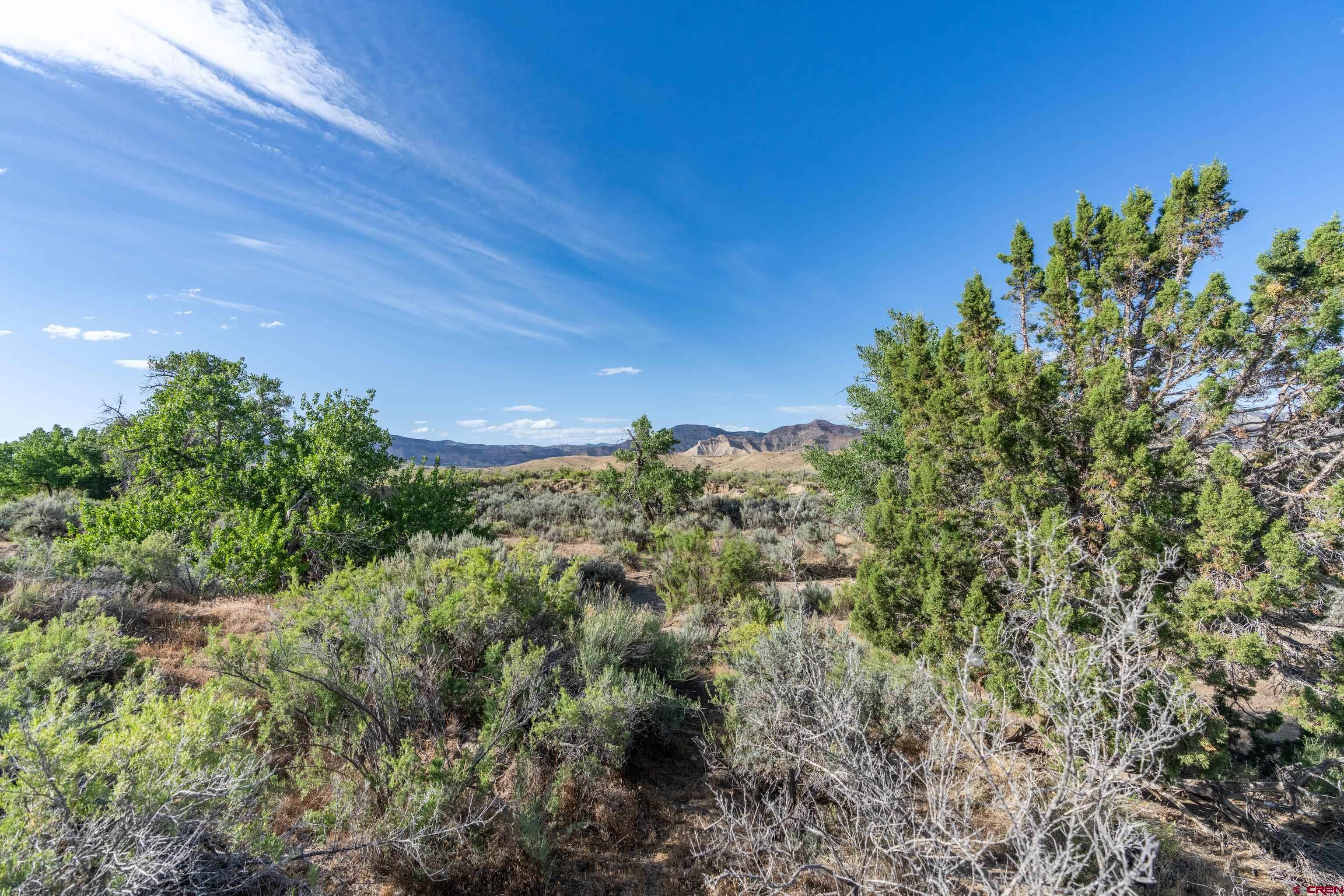 Lot 3 16 Road Loma, CO 81524 - Photo 26 of 35 a view of a green field