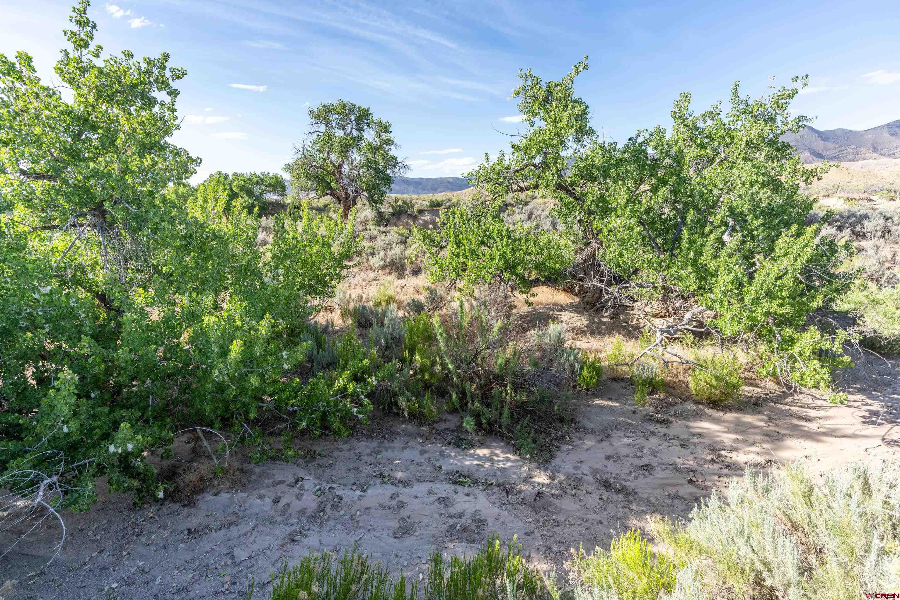 Lot 3 16 Road Loma, CO 81524 - Photo 27 of 35 a backyard of a house with lots of green space