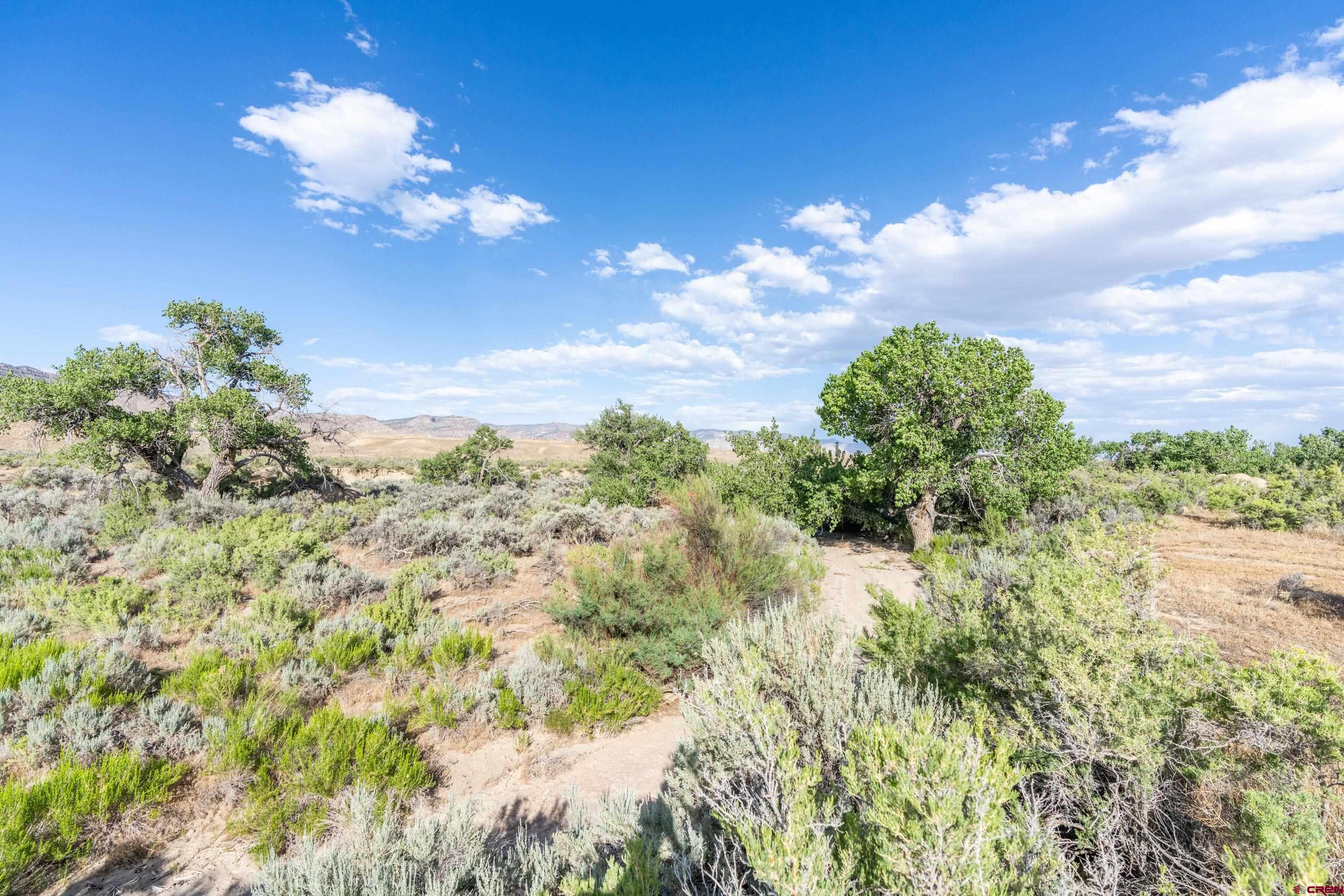 Lot 3 16 Road Loma, CO 81524 - Photo 29 of 35 a view of a yard in a yard