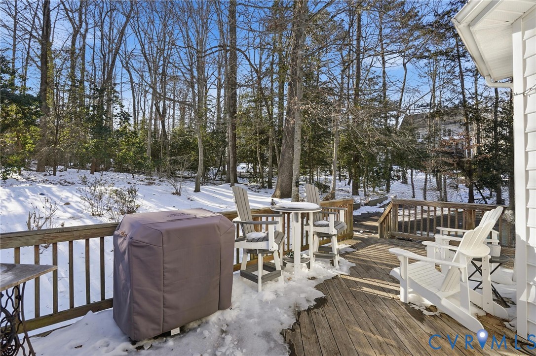 12325 Point Sunrise Court Midlothian, VA 23112 - Photo 47 of 50