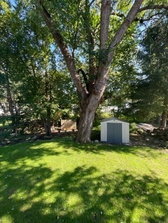 47 Bow Street Saugus, MA 01906 - Photo 9 of 31 a view of a trees with a yard