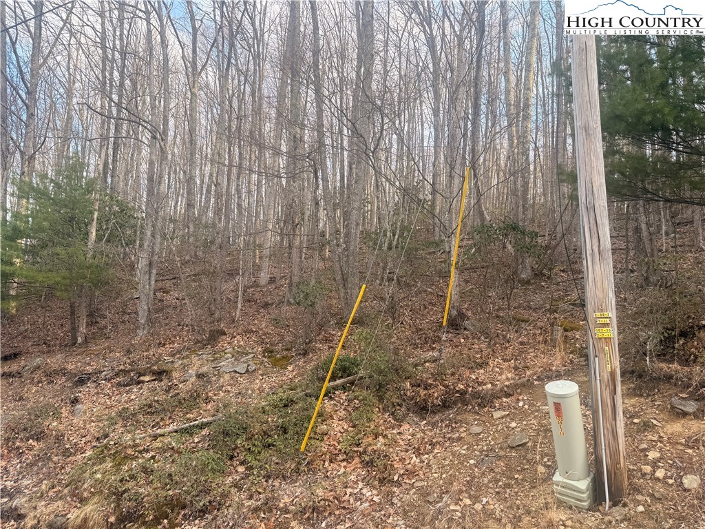 212 Jackpine Road Beech Mountain, NC 28604 - Photo 3 of 7